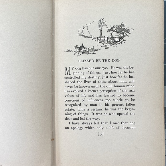 Bucolic Beatitudes by Rusticus, Illustrated by Decie Merwin, Little Brown 1927 - Picture 9 of 14